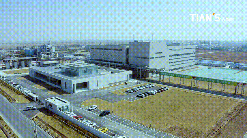 BetMGM·(中国区)官方网站